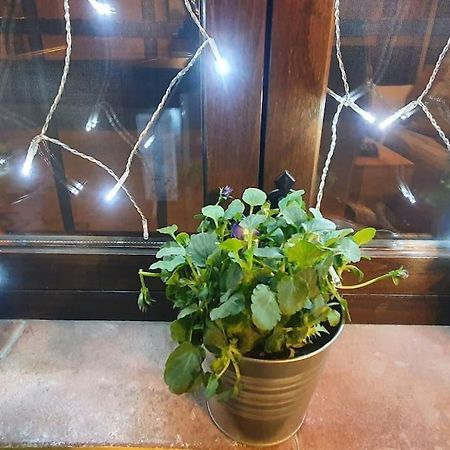 Apartamento Sefardi, Barrio Judio De Hervás Buitenkant foto