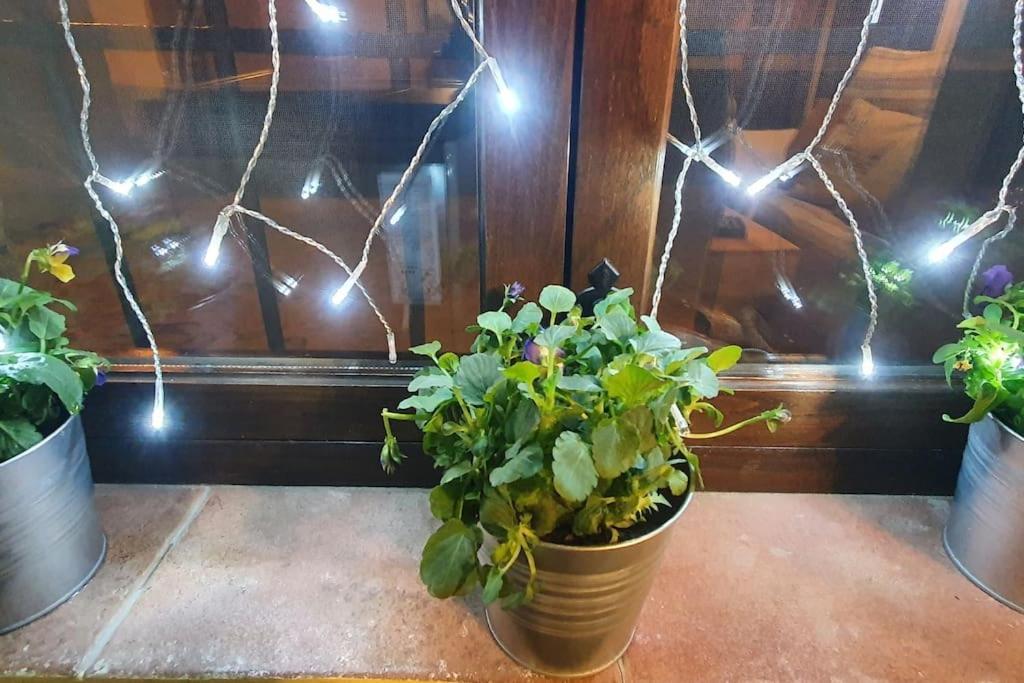 Apartamento Sefardi, Barrio Judio De Hervás Buitenkant foto